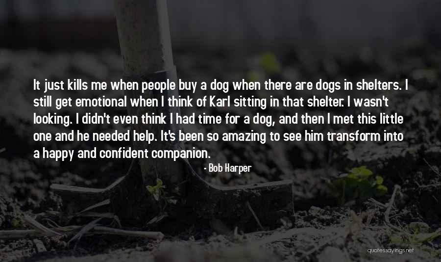 Shelter Me Quotes By Bob Harper Shelter Me Quotes By Bob Harper