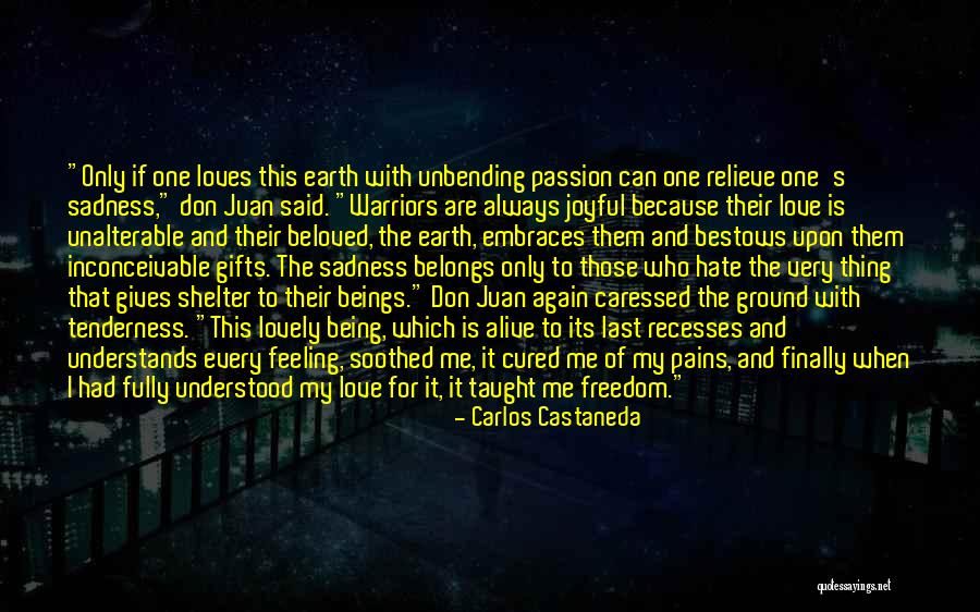 Shelter Me Quotes By Carlos Castaneda Shelter Me Quotes By Carlos Castaneda