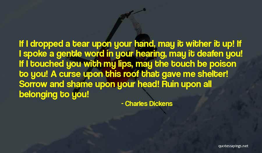 Shelter Me Quotes By Charles Dickens Shelter Me Quotes By Charles Dickens
