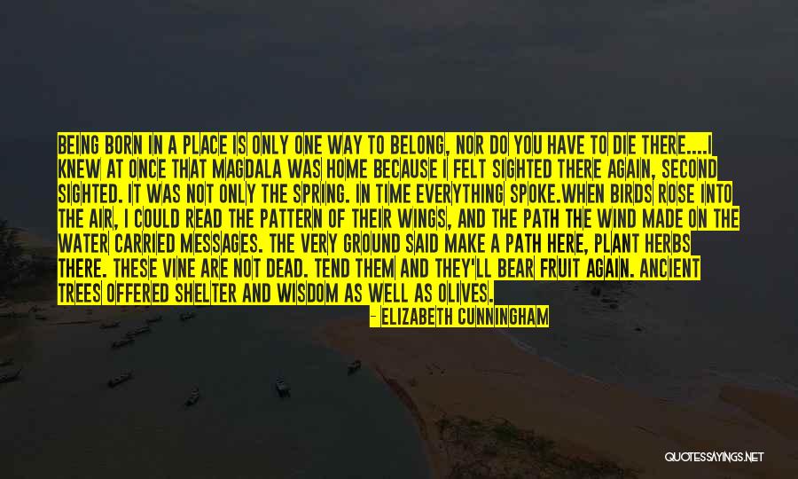 Shelter Me Quotes By Elizabeth Cunningham Shelter Me Quotes By Elizabeth Cunningham