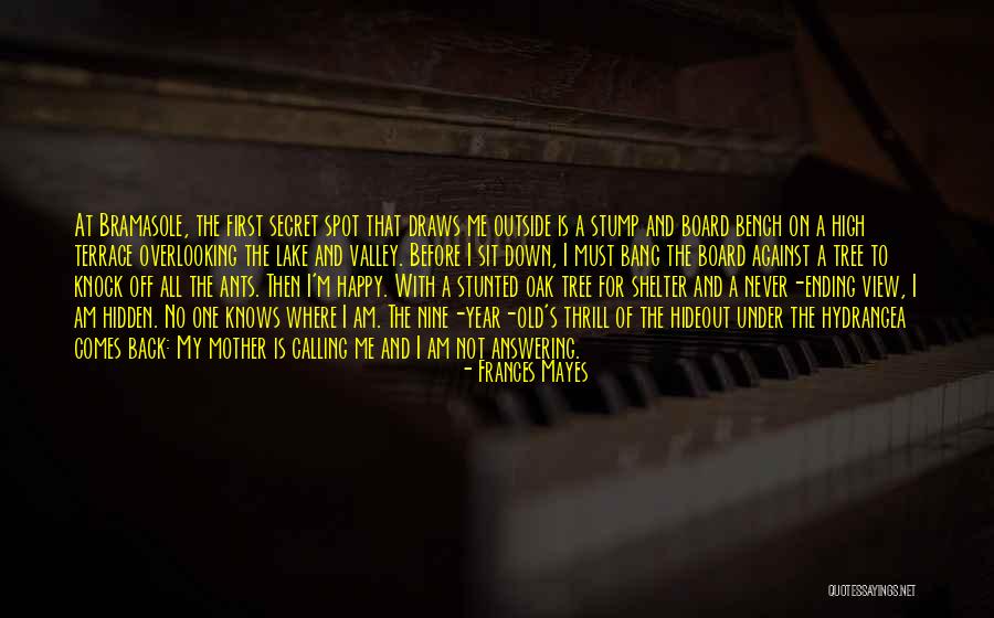 Shelter Me Quotes By Frances Mayes Shelter Me Quotes By Frances Mayes