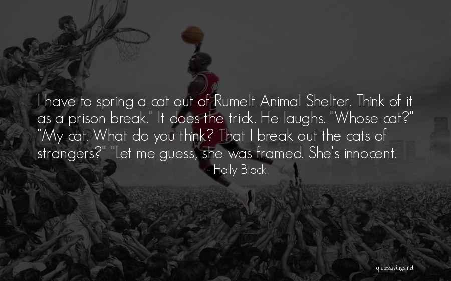Shelter Me Quotes By Holly Black Shelter Me Quotes By Holly Black