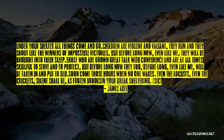 Shelter Me Quotes By James Agee Shelter Me Quotes By James Agee