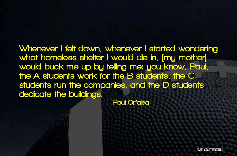Shelter Me Quotes By Paul Orfalea Shelter Me Quotes By Paul Orfalea