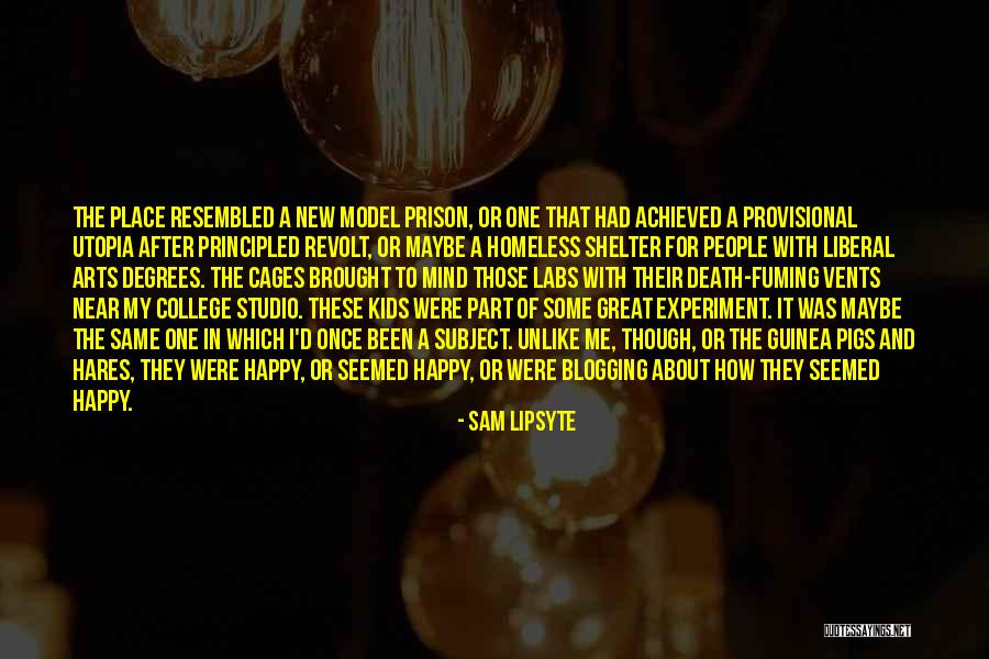 Shelter Me Quotes By Sam Lipsyte Shelter Me Quotes By Sam Lipsyte