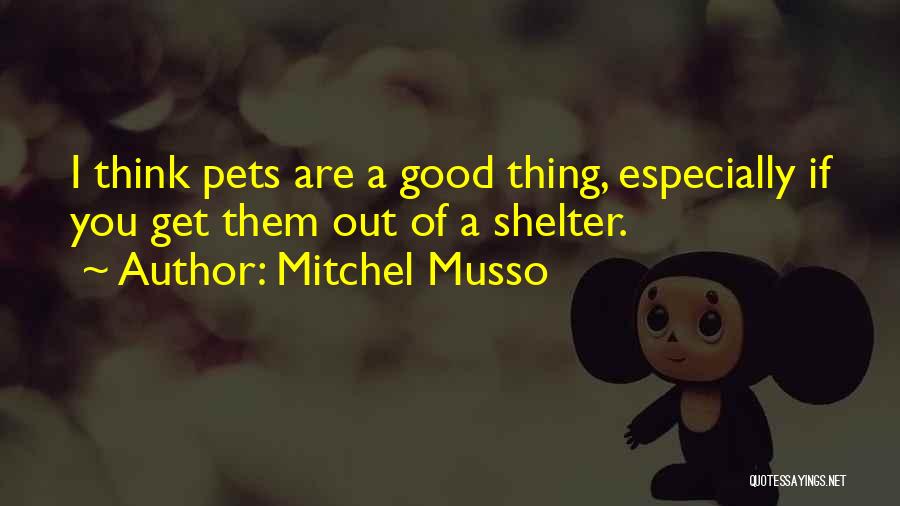 Shelter Pets Quotes By Mitchel Musso