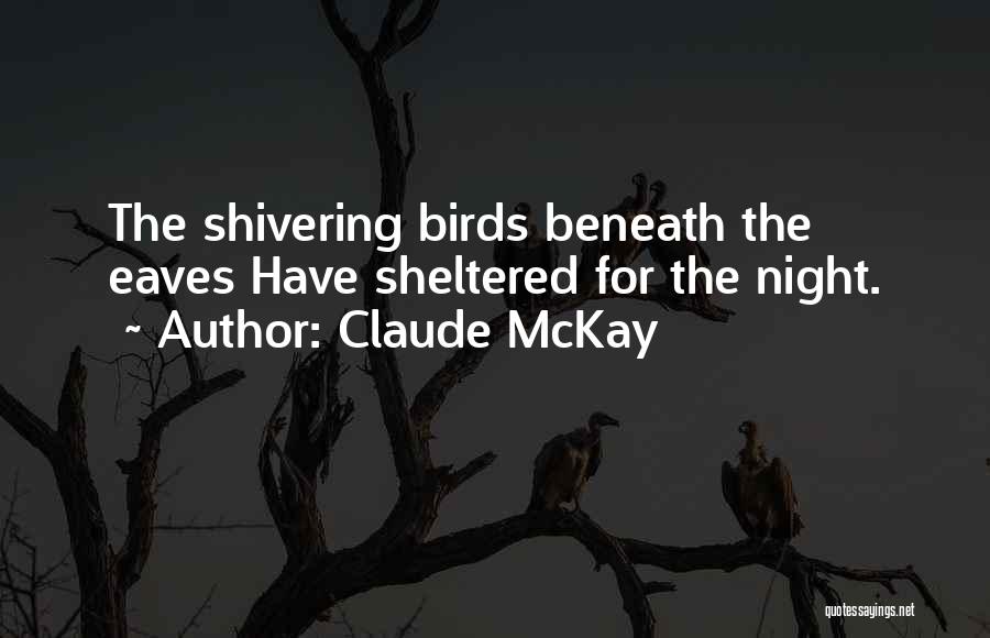 Sheltered Quotes By Claude McKay