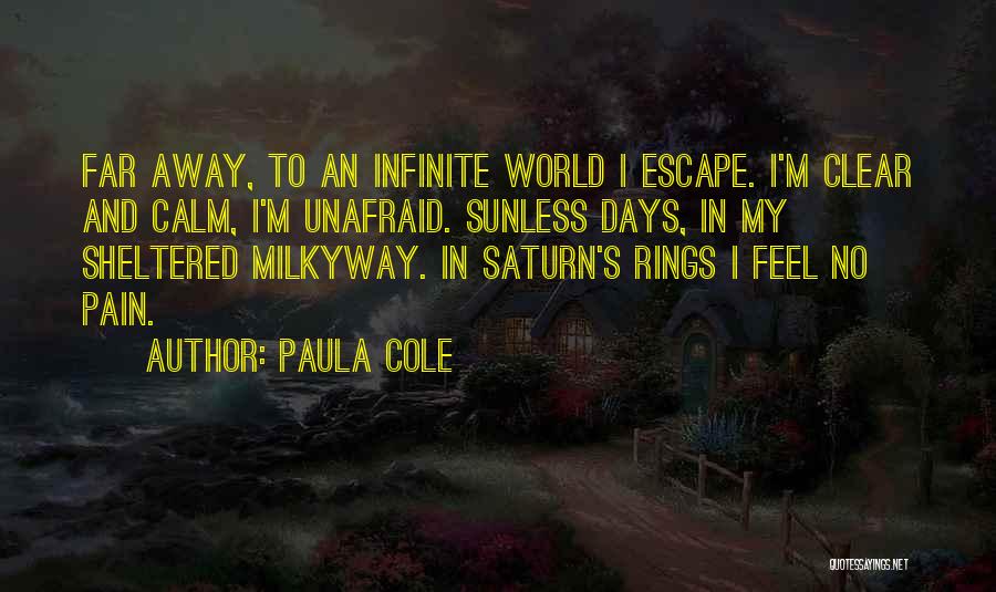 Sheltered Quotes By Paula Cole