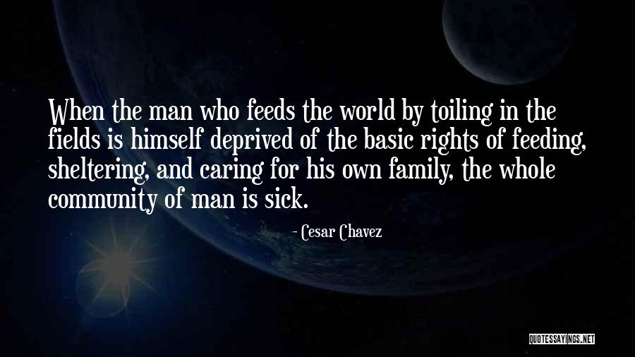 Sheltering Quotes By Cesar Chavez