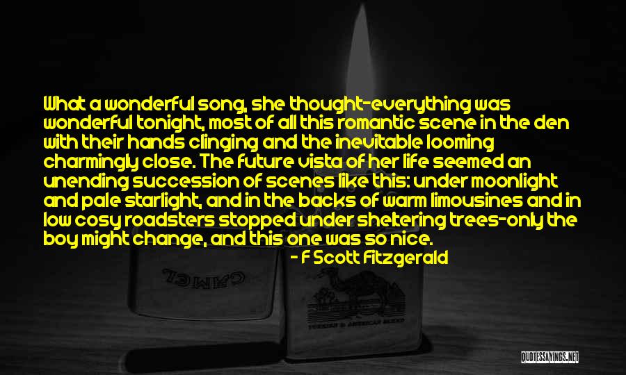 Sheltering Quotes By F Scott Fitzgerald Sheltering Quotes By F Scott Fitzgerald