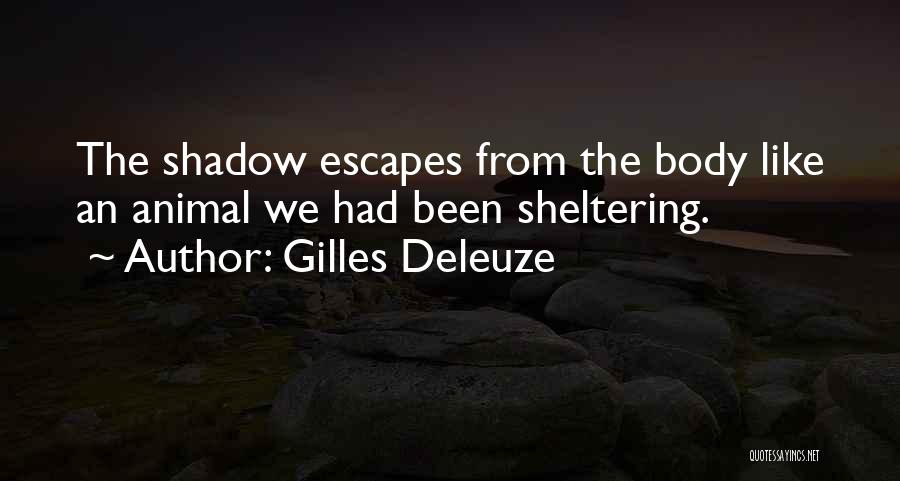 Sheltering Quotes By Gilles Deleuze