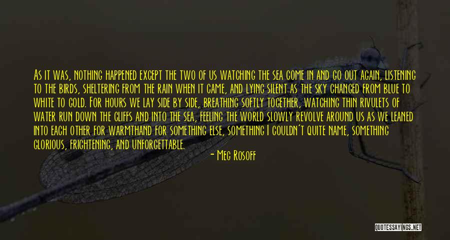 Sheltering Quotes By Meg Rosoff Sheltering Quotes By Meg Rosoff