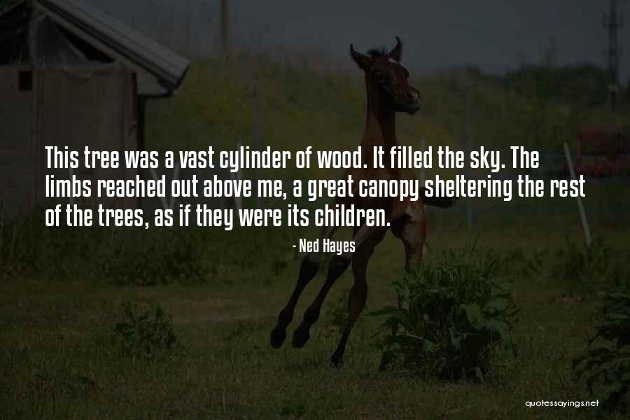 Sheltering Quotes By Ned Hayes