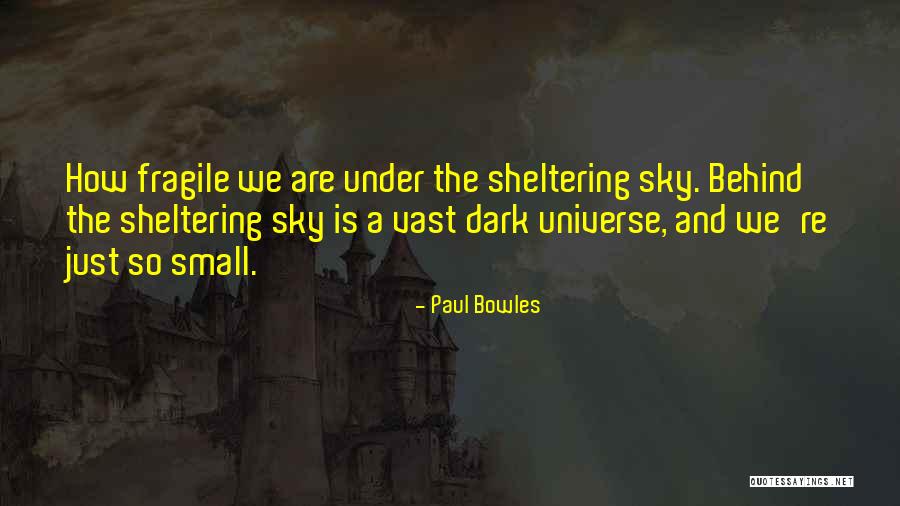 Sheltering Quotes By Paul Bowles