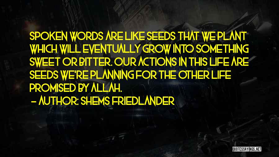 Shems Friedlander Quotes 455862