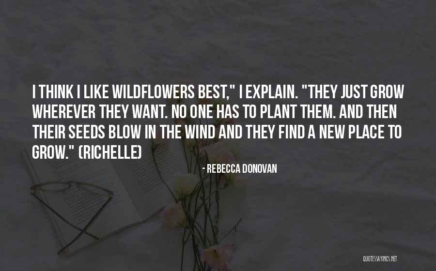 Shemsi Veseli Quotes By Rebecca Donovan Shemsi Veseli Quotes By Rebecca Donovan