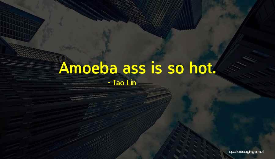 Shemwell Barbeque Quotes By Tao Lin Shemwell Barbeque Quotes By Tao Lin