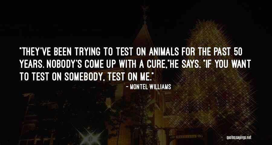 Shemyaza Quotes By Montel Williams Shemyaza Quotes By Montel Williams