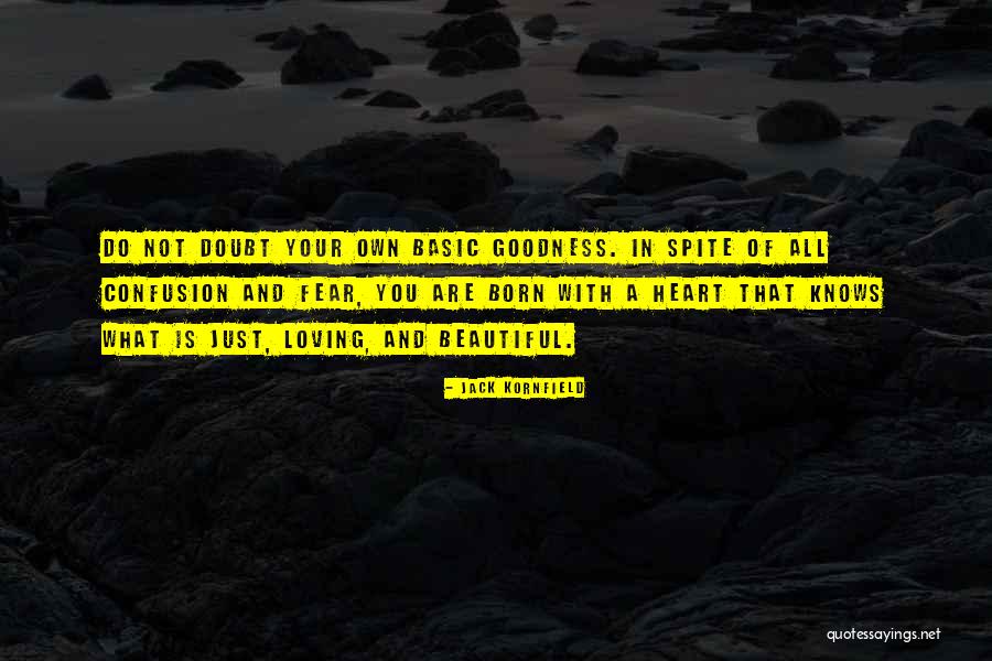 Shenaniwhatagans Quotes By Jack Kornfield Shenaniwhatagans Quotes By Jack Kornfield