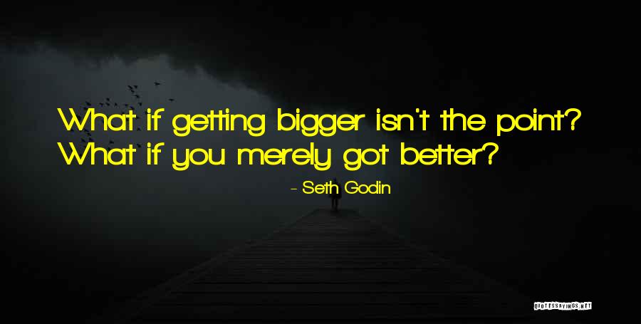Sheneneh Quotes By Seth Godin Sheneneh Quotes By Seth Godin