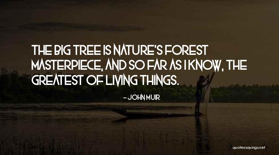 Sheniqua Faulkner Quotes By John Muir Sheniqua Faulkner Quotes By John Muir