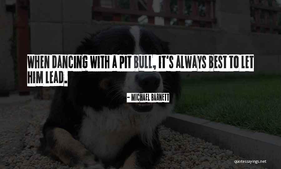 Shenkman Capital Quotes By Michael Barnett