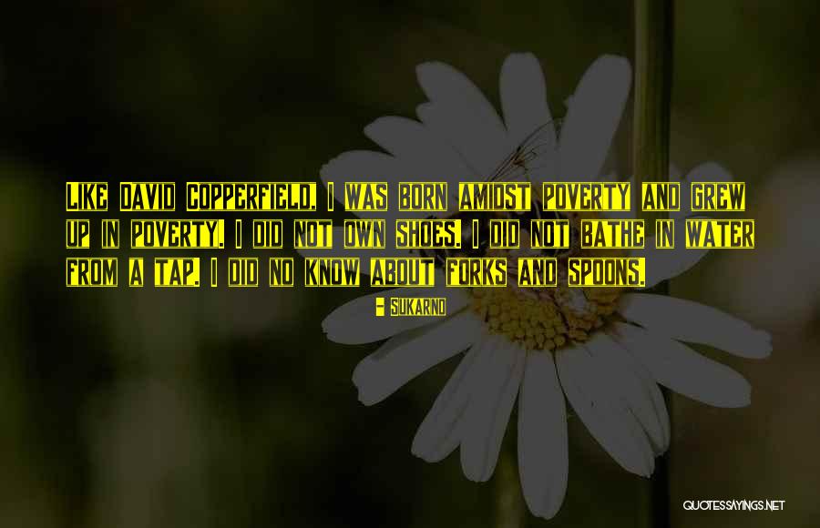 Shenson Meat Quotes By Sukarno Shenson Meat Quotes By Sukarno
