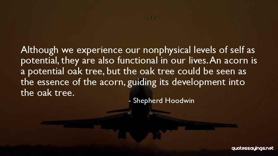 Shepherd Hoodwin Quotes 1404738