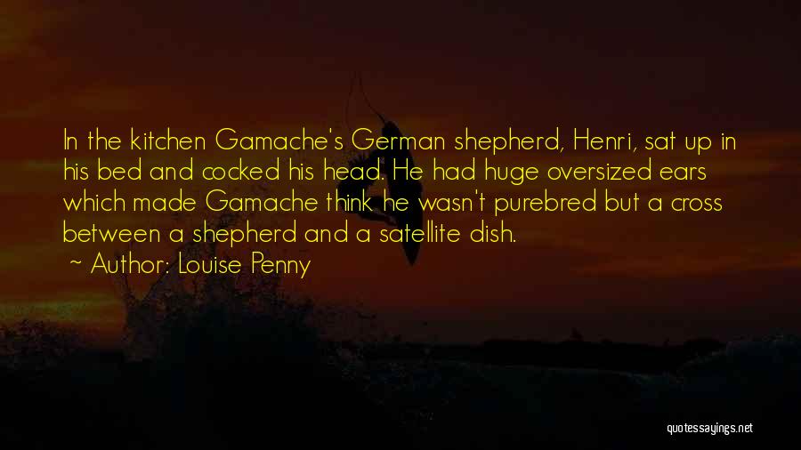 Shepherd Quotes By Louise Penny