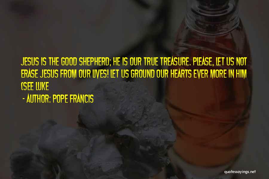 Shepherd Quotes By Pope Francis