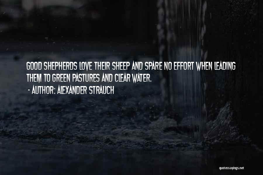 Shepherds And Sheep Quotes By Alexander Strauch