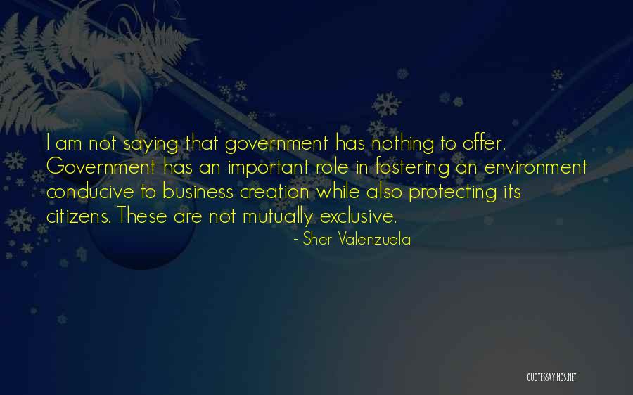 Sher Valenzuela Quotes 2165850