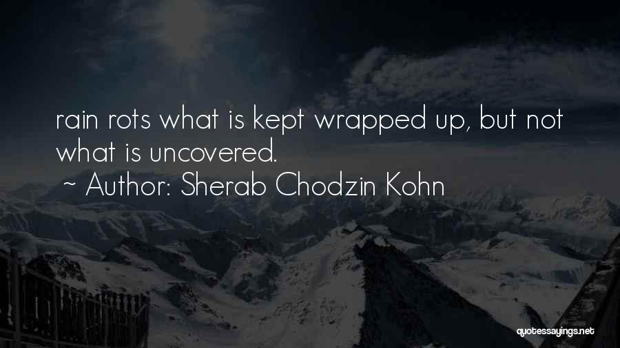 Sherab Chodzin Kohn Quotes 1349714