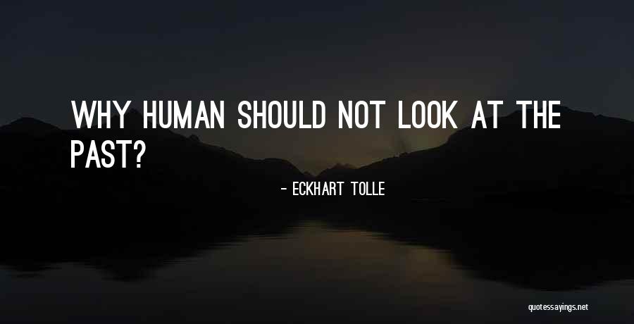 Sheraden Neighborhood Quotes By Eckhart Tolle Sheraden Neighborhood Quotes By Eckhart Tolle