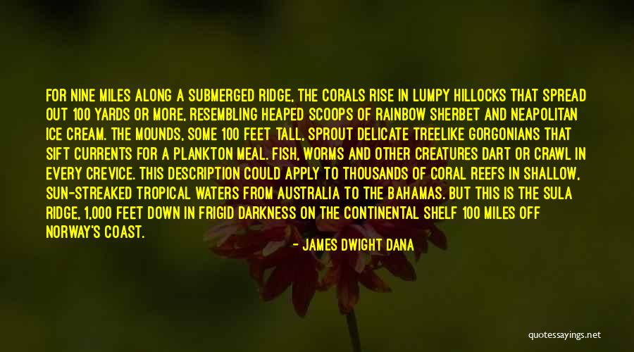 Sherbet Ice Quotes By James Dwight Dana Sherbet Ice Quotes By James Dwight Dana