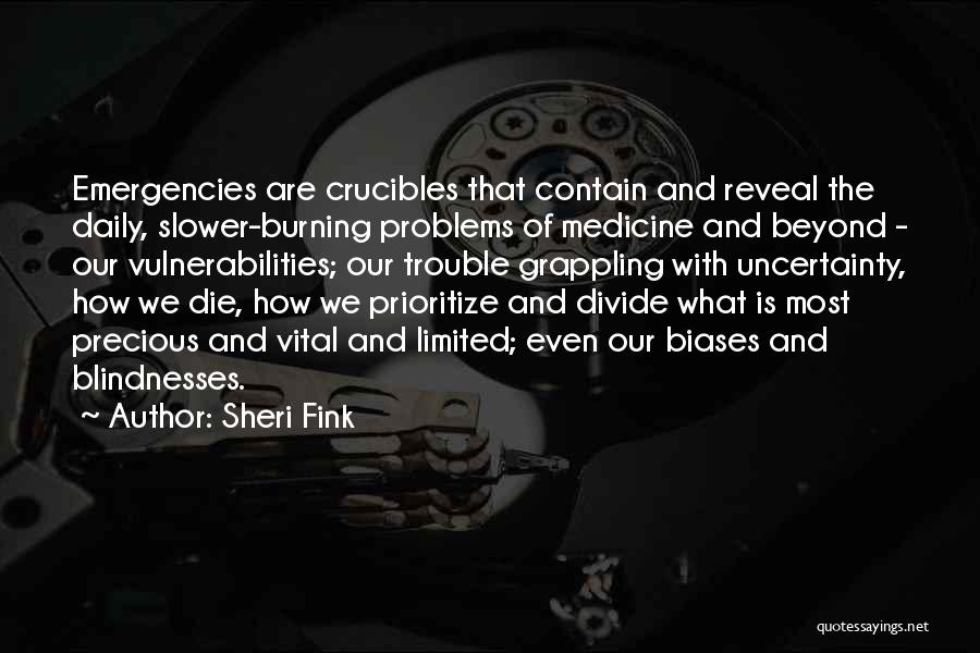 Sheri Fink Quotes 479070