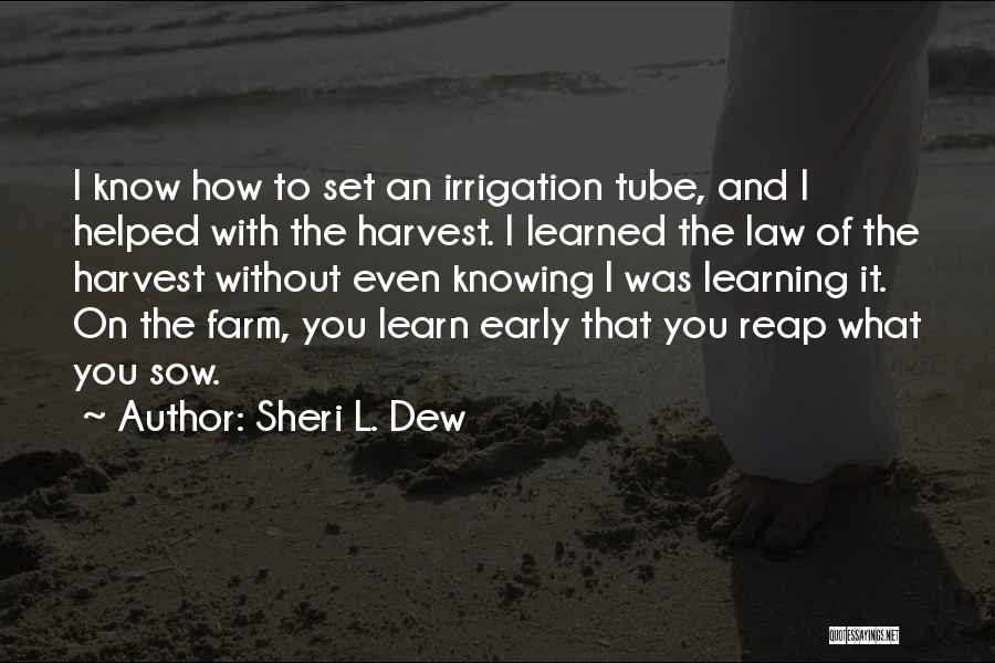 Sheri L. Dew Quotes 1276757