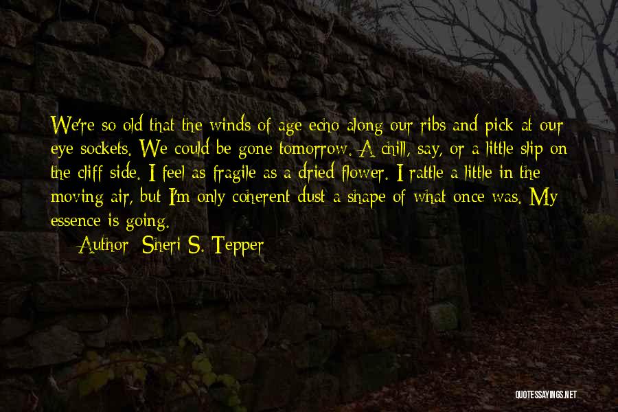 Sheri S. Tepper Quotes 1133529