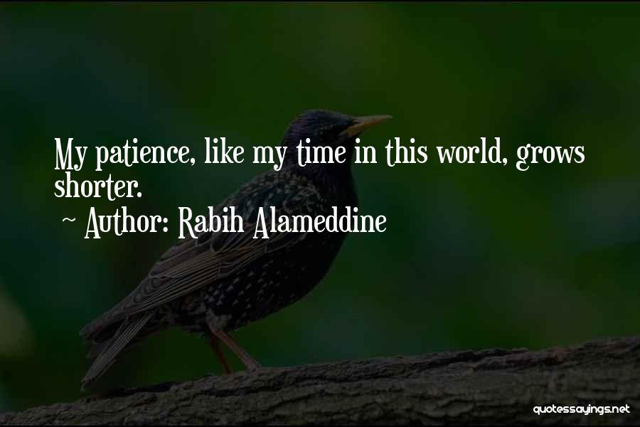 Sheriff Of Rottingham Quotes By Rabih Alameddine