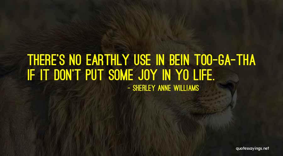 Sherley Williams Quotes By Sherley Anne Williams Sherley Williams Quotes By Sherley Anne Williams