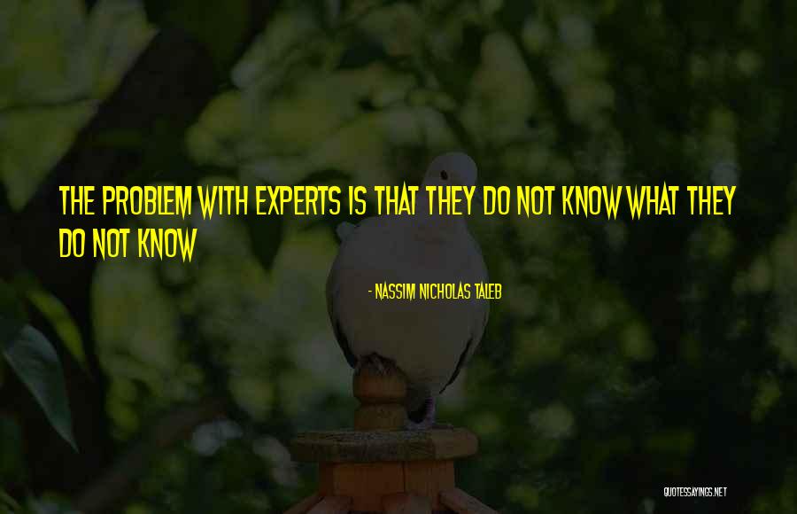 Sheroes Of The Haitian Quotes By Nassim Nicholas Taleb Sheroes Of The Haitian Quotes By Nassim Nicholas Taleb