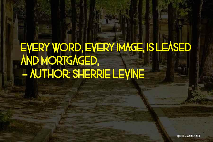 Sherrie Levine Quotes 1267061