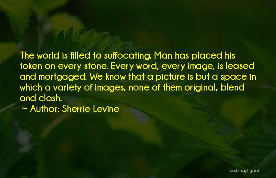 Sherrie Levine Quotes 1558107