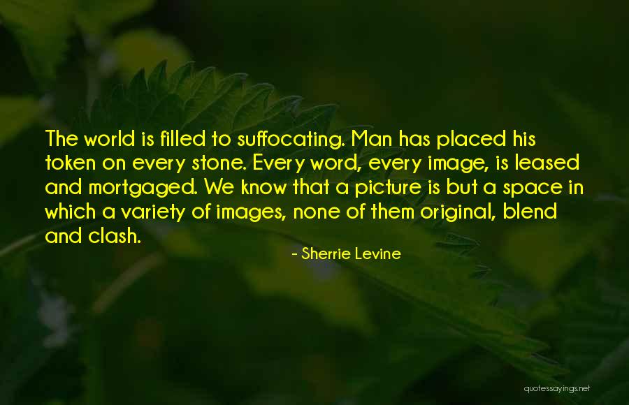 Sherrie Levine Quotes 1558107