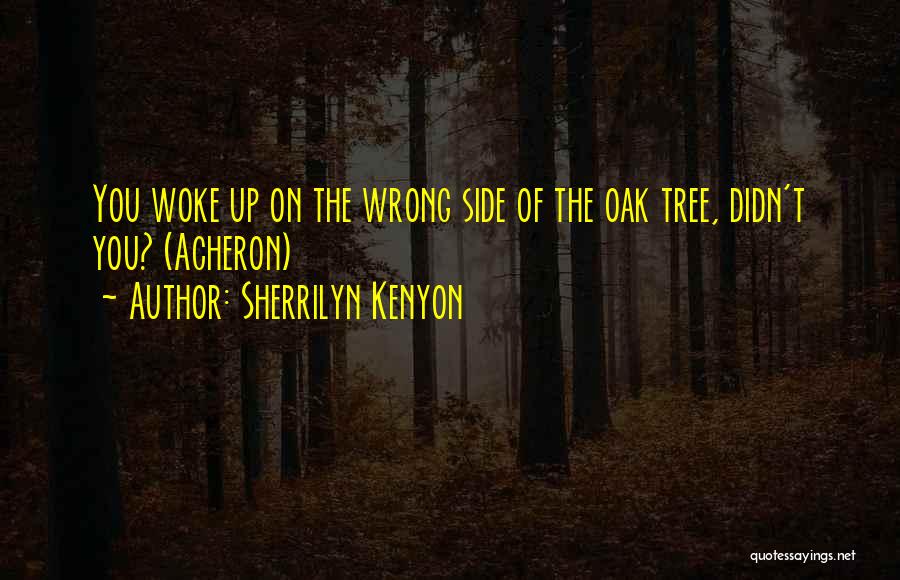 Sherrilyn Kenyon Acheron Quotes By Sherrilyn Kenyon