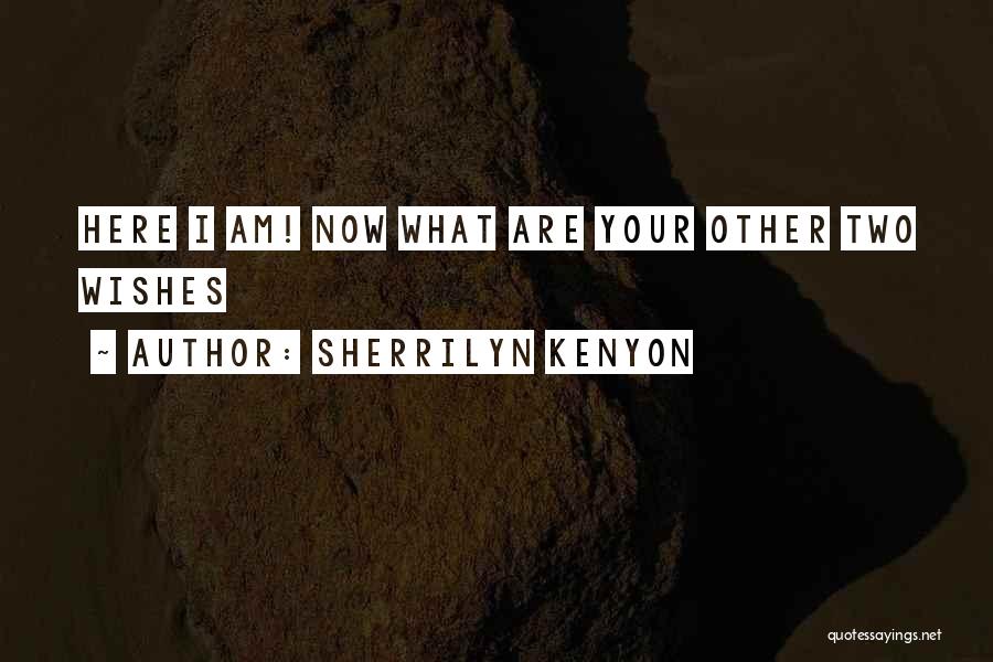 Sherrilyn Kenyon Quotes 1432125