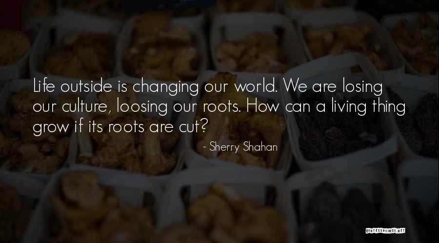 Sherry Shahan Quotes 1300443