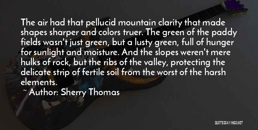 Sherry Thomas Quotes 2037933