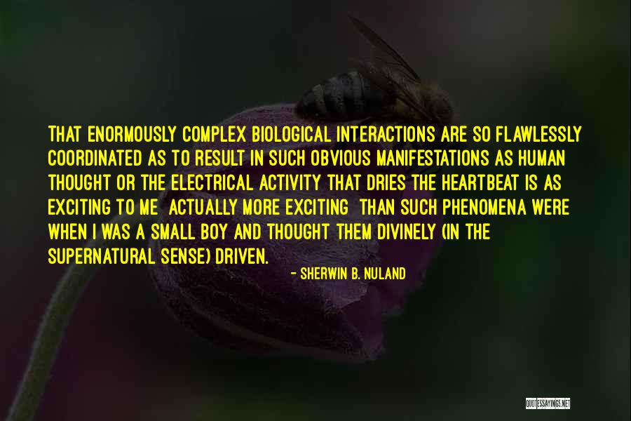 Sherwin B. Nuland Quotes 1566189 Sherwin B. Nuland Quotes 1566189