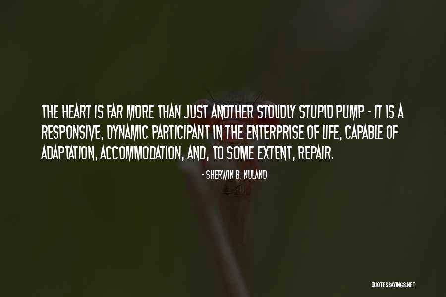 Sherwin B. Nuland Quotes 1906660 Sherwin B. Nuland Quotes 1906660
